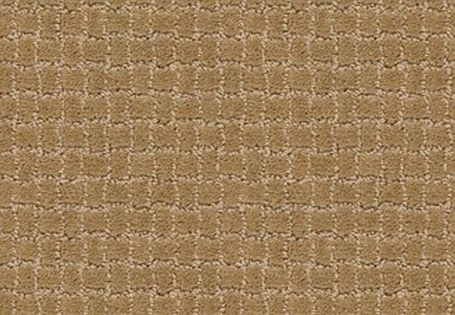 Anderson Tuftex Pawstruck Golden Straw