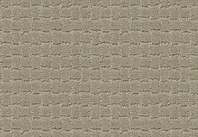 Anderson Tuftex Pawstruck Gray Mirage