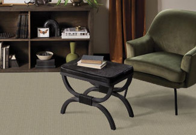 Anderson Tuftex Pawstruck Gray Mirage view 2