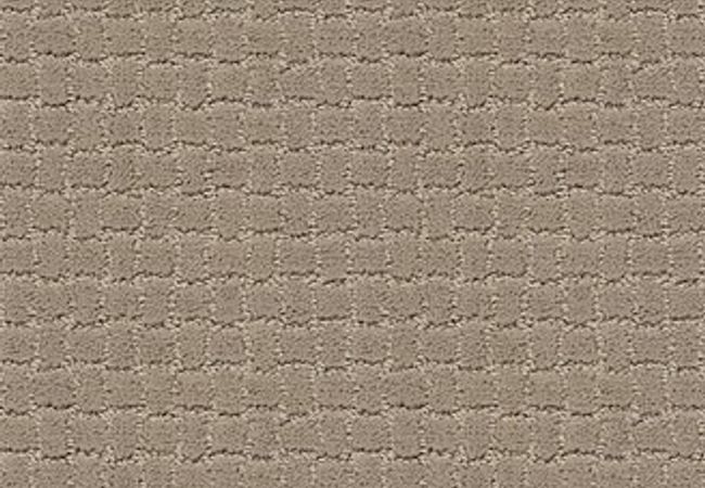 Anderson Tuftex Pawstruck Mocha Cream