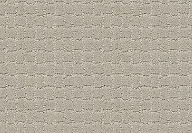 Anderson Tuftex Pawstruck Silver Fox