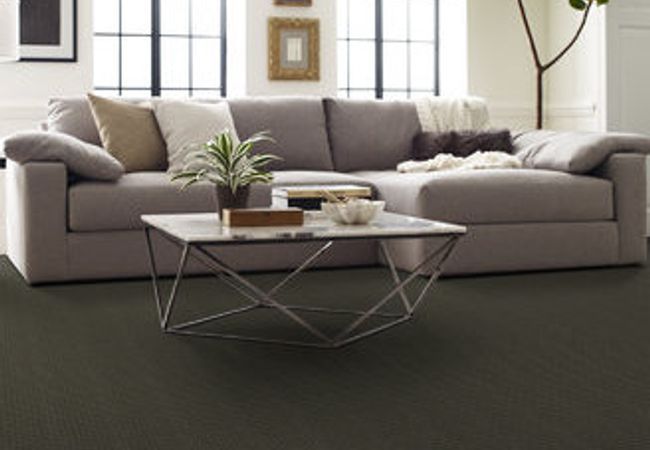 Anderson Tuftex Pawstruck Smoked Oyster view 2