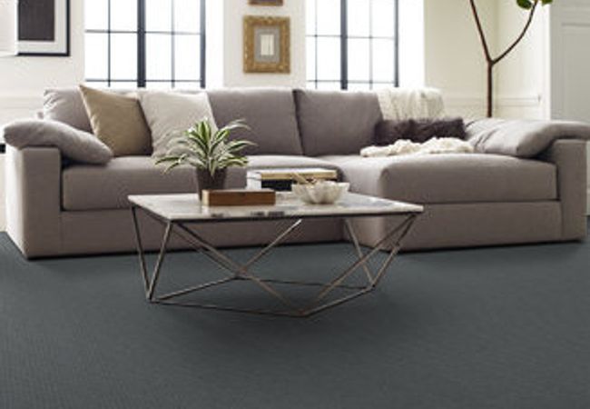 Anderson Tuftex Pawstruck Steel Wool view 2