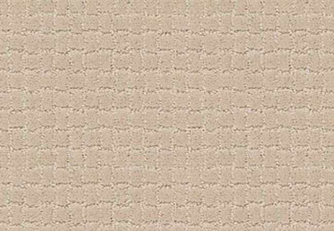 Anderson Tuftex Pawstruck Toffee Cream