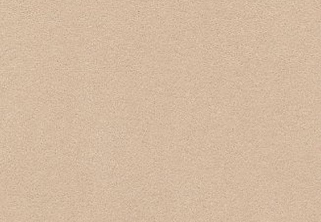 Anderson Tuftex Perfect Choice Cocoa Sand