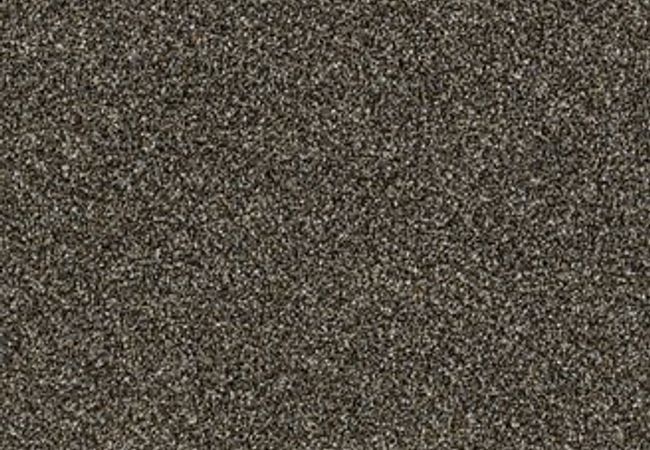 Anderson Tuftex Positive Outlook Grizzly