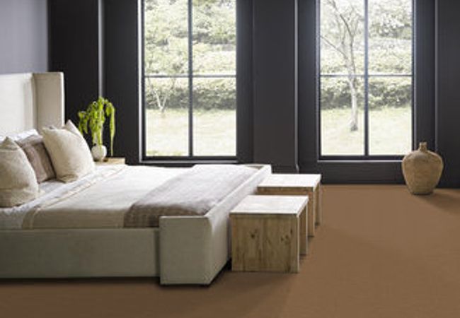 Anderson Tuftex Serendipity I Bronze Glow view 3