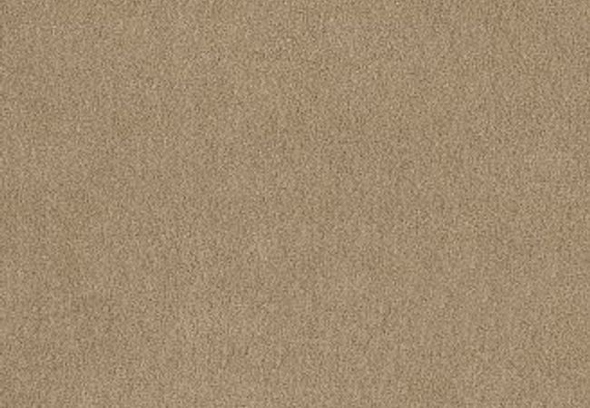 Anderson Tuftex Serendipity I Humus