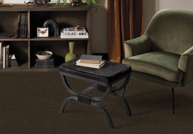 Anderson Tuftex Serendipity I Woodridge view 2