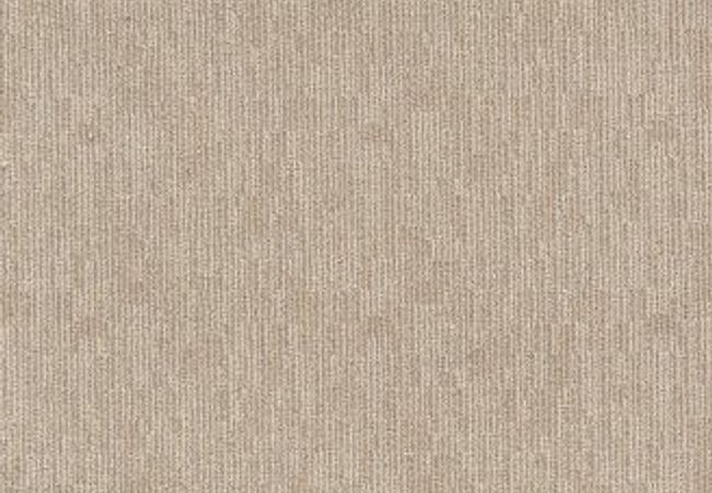 Anderson Tuftex Sneak Peek Almond Latte