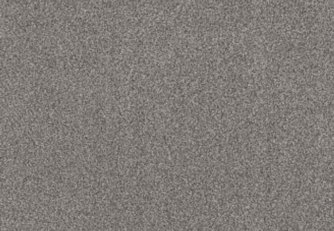 Anderson Tuftex Terra Nova Chelsea Fog