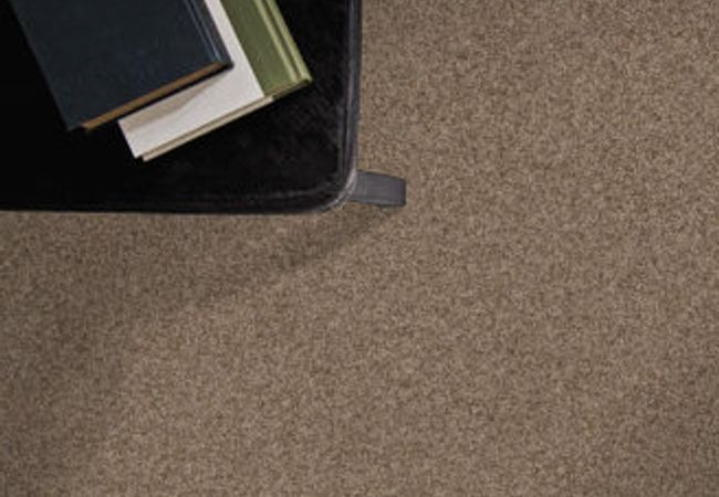 Anderson Tuftex Terra Nova Ranch view 2