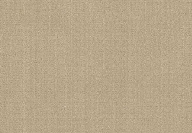 Anderson Tuftex Vignette Champagne