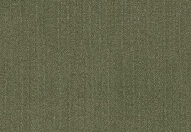 Anderson Tuftex Vignette Fern