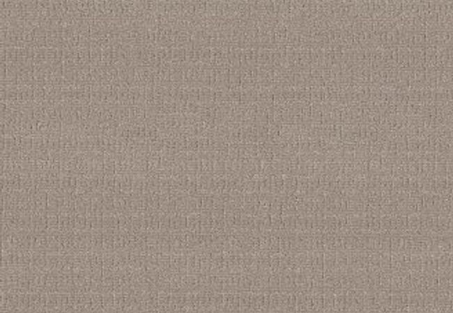 Anderson Tuftex Vignette Greige