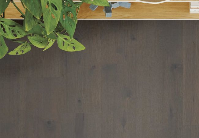 Anderson Tuftex Imperial Pecan Dove view 3