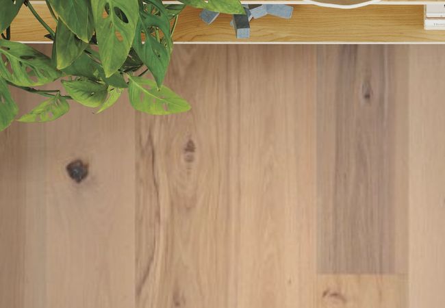 Anderson Tuftex Imperial Pecan Linen view 3