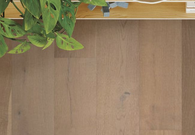 Anderson Tuftex Metallics II White Oak Luxe Gold view 3