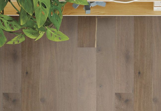 Anderson Tuftex Metallics II White Oak Modern Bronze view 3