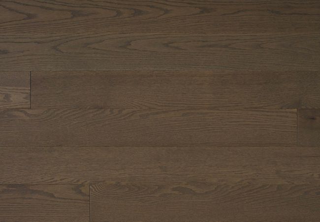 Appalachian Alta Moda