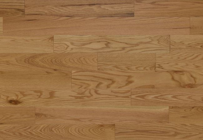 Appalachian Green Mountain