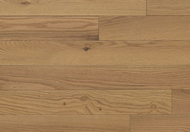 Appalachian Signature Red Oak Solid Excel Chamomille - Ultra Matte - 4 1/4"x3/4"