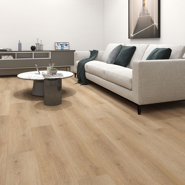 Aquila Vision Luxury Vinyl Plank view 2