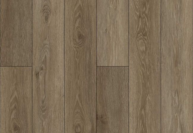 Baronwood Vinyl Plank U2