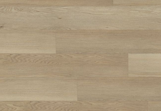 Beaulieu Tidal Nature Hopedale Luxury Vinyl Plank