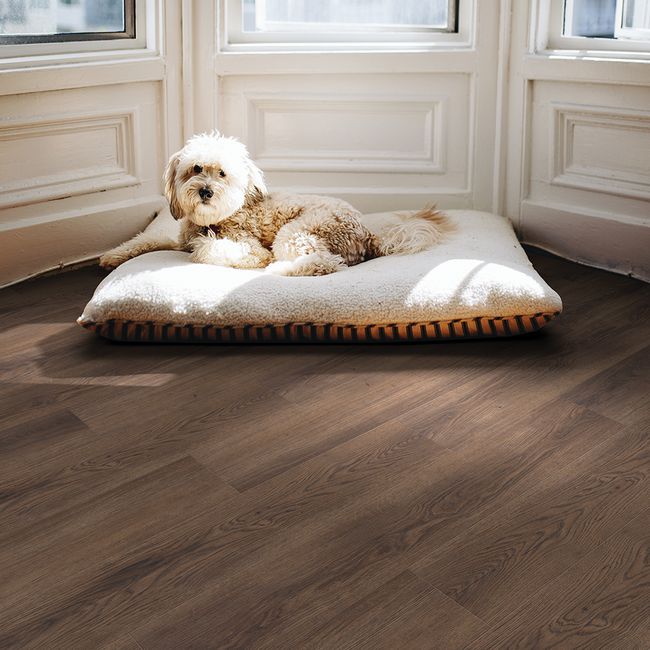 Beaulieu Therma Nature Bishop Bay Luxury Vinyl Plank view 2