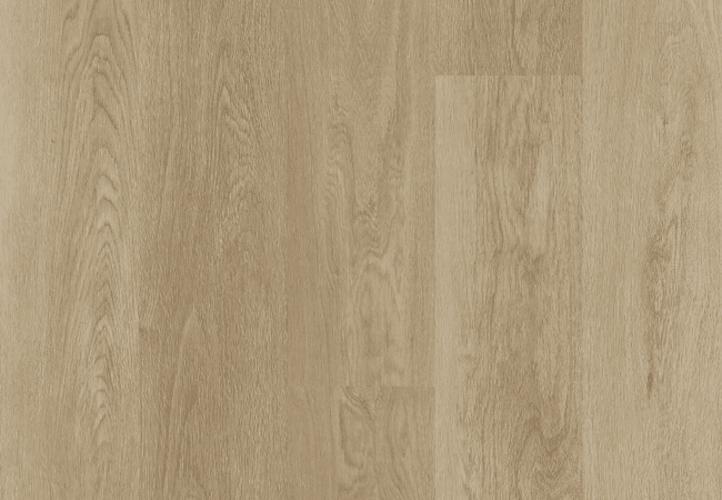 Biyork Traktion Haywire Luxury Vinyl Plank view 2