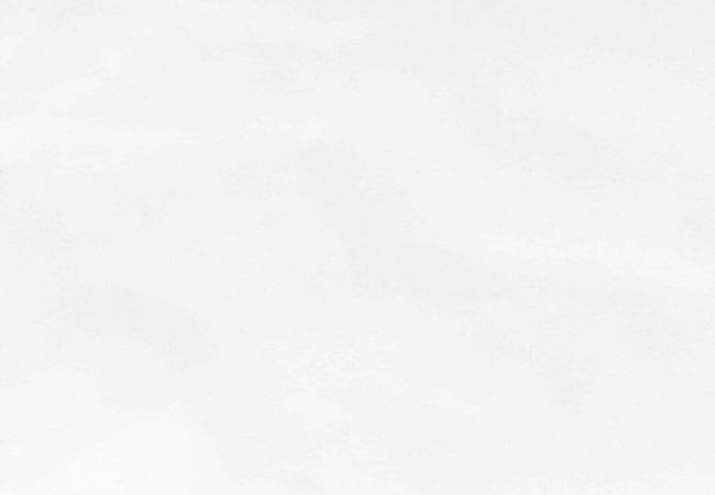 Ceratec Tile Brick White R4GJ