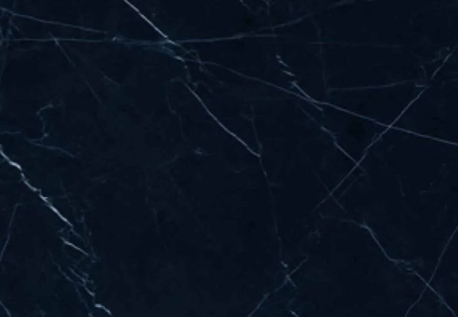 Ceratec Tile Marmi Classici Nero Marquinia
