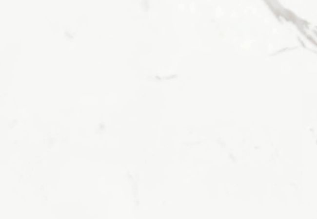 Ceratec Tile Marmi Classici Statuario Classico