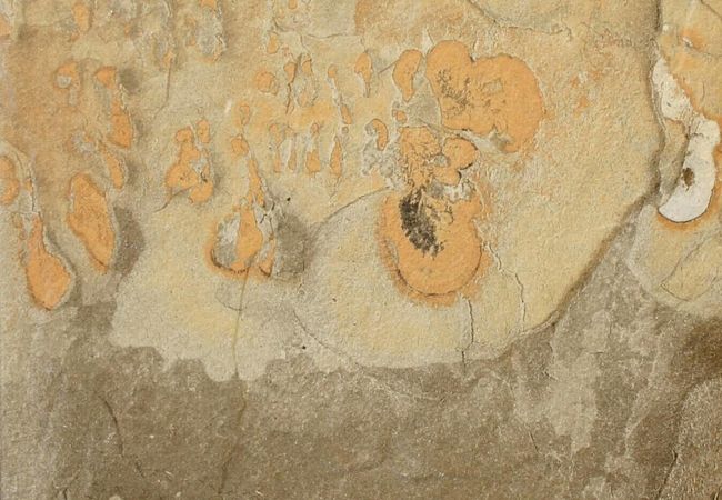 Ceratec Tile Slaty Multicolor