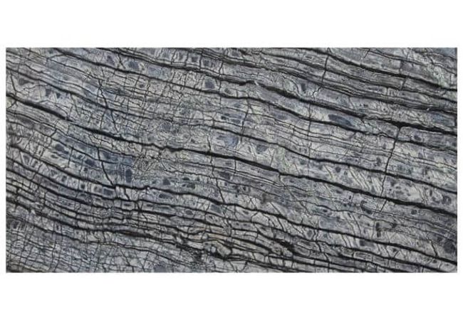 Ciot Tile 12''x24'' Silverwave Polshed