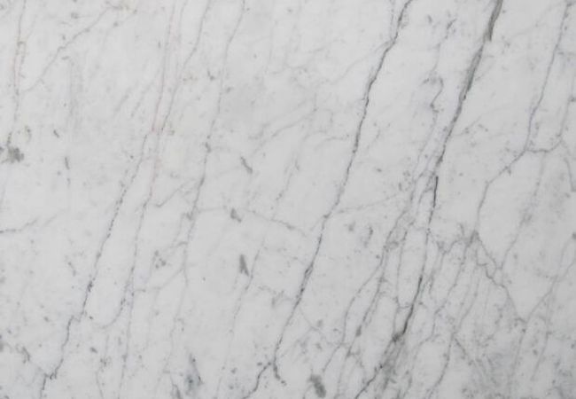 Ciot Tile Bianco Carrara Alpino Honed 24''x24''