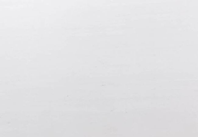 Ciot Tile Bianco Sivec On Porcelain Support Polished 24''x24''