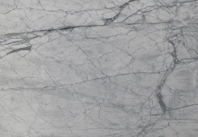 Ciot Tile Bianco Venatino Honed 24''x24''