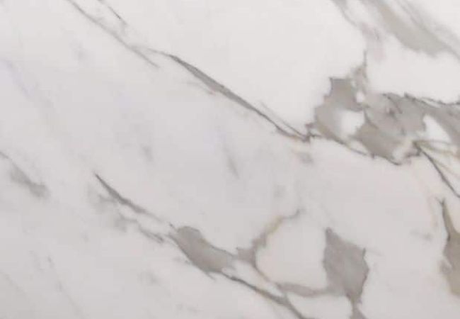 Ciot Tile Calacatta Extra On Porcelain Support Polished 24''x24''