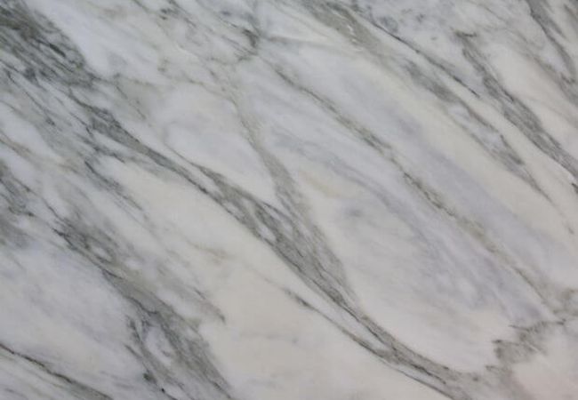 Ciot Tile Calacatta Nuvolato Polished 24''x24''