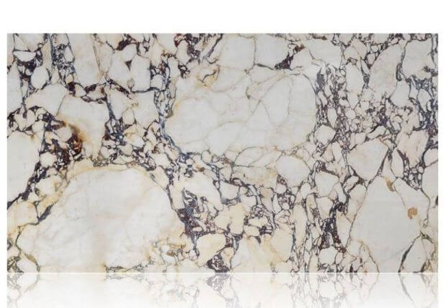 Ciot Tile Calacatta Viola Polished 1 1/4