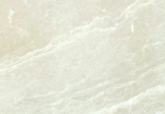 Ciot Tile French Vanilla Polished 24''x24''