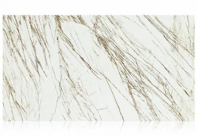 Ciot Tile Golden Raddix Polished 3/4''