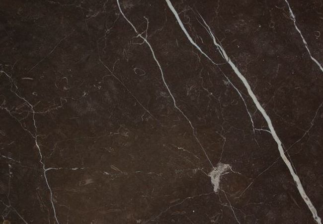 Ciot Tile Laurent Brown On Porcelain Support Polished 24''x24''