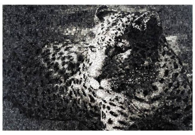 Ciot Tile Selvaggio Giaguaro 1 44''x66''