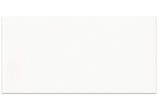 Ciot Tile 2.75''x5.5'' Urban Atelier Branco Luc.