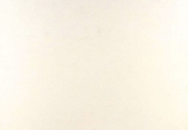 Ciot Tile 24''x24'' Instant White Matte Rt