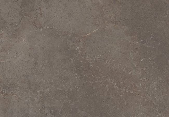 Ciot Tile Bistrot Augustus Glossy Rt 23''x23''