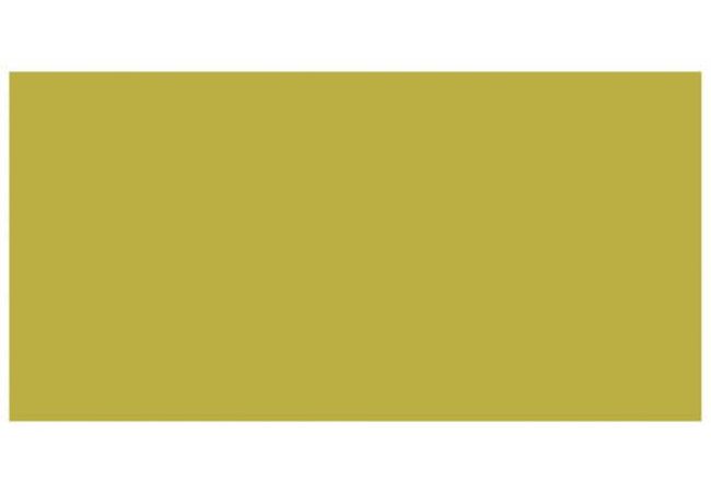 Ciot Tile Color Chartreuse Bright 3''x6''